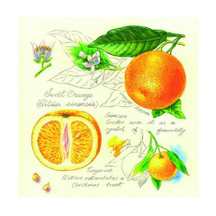 Servítky na dekupáž Pomaranče – 1 ks